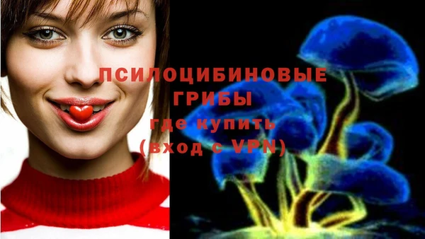 герыч Осташков