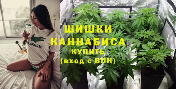 ALPHA-PVP Осинники