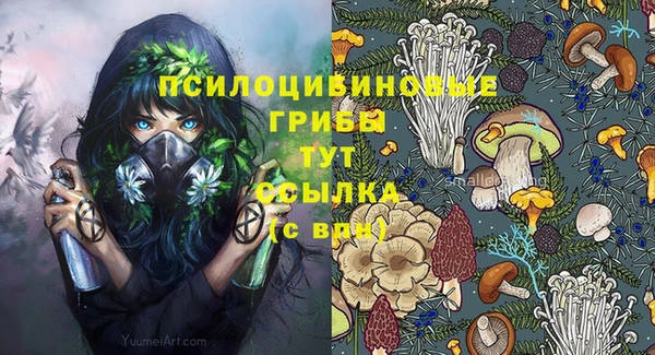 ALPHA-PVP Осинники