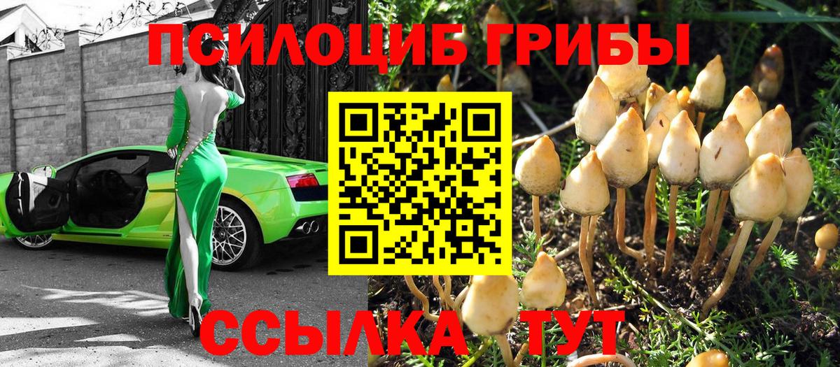 Псилоцибиновые грибы прущие грибы Магнитогорск