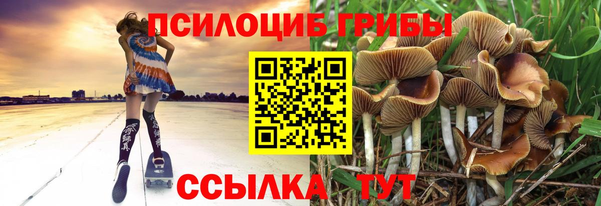 Псилоцибиновые грибы Cubensis  Вход с VPN  Магнитогорск 